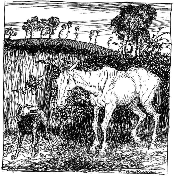 THE WOLF AND THE HORSE