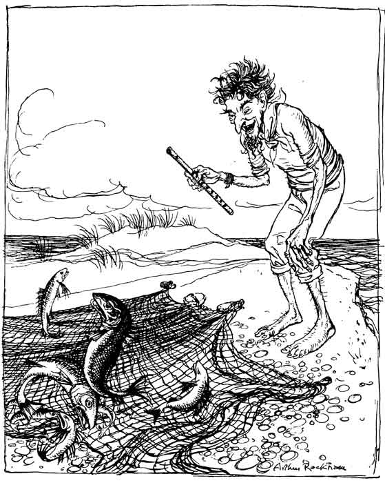 THE FISHERMAN PIPING